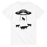 Load image into Gallery viewer, 653dd66a-2bb3-41ac-8095-bbdd628b794c
